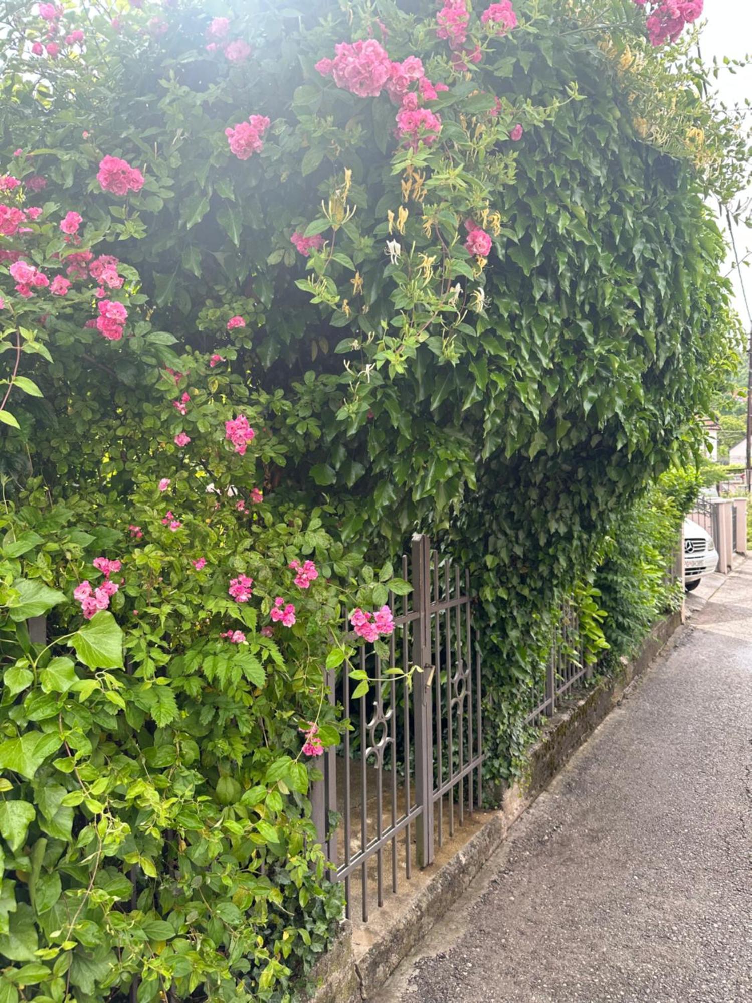 Apartman Lili 采蒂涅 外观 照片