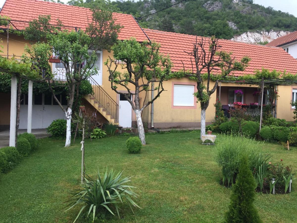 Apartman Lili 采蒂涅 外观 照片